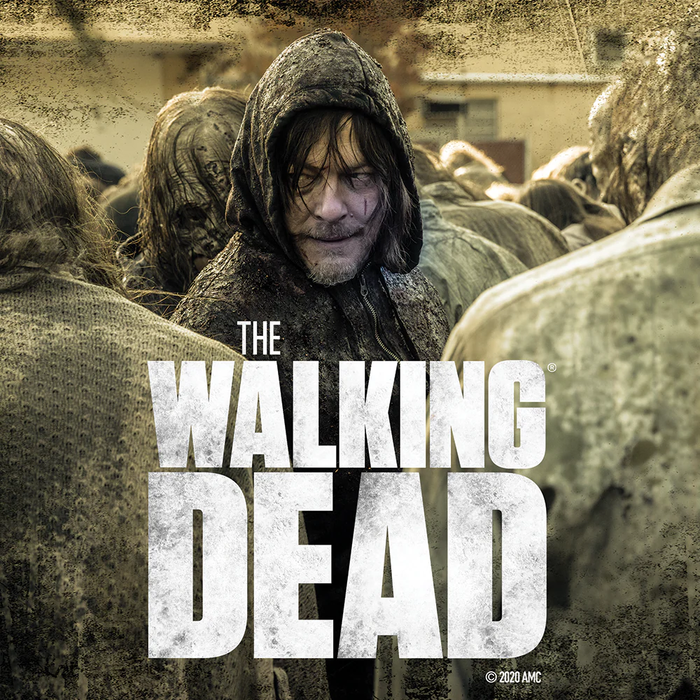 The Walking Dead Daryl Season 10 Premium Satin Poster - Image 3